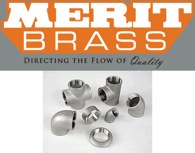 Merit-304SS-150lb-THD Merit Brass 304SS 150lb THD